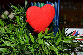 Valentýnská plavba